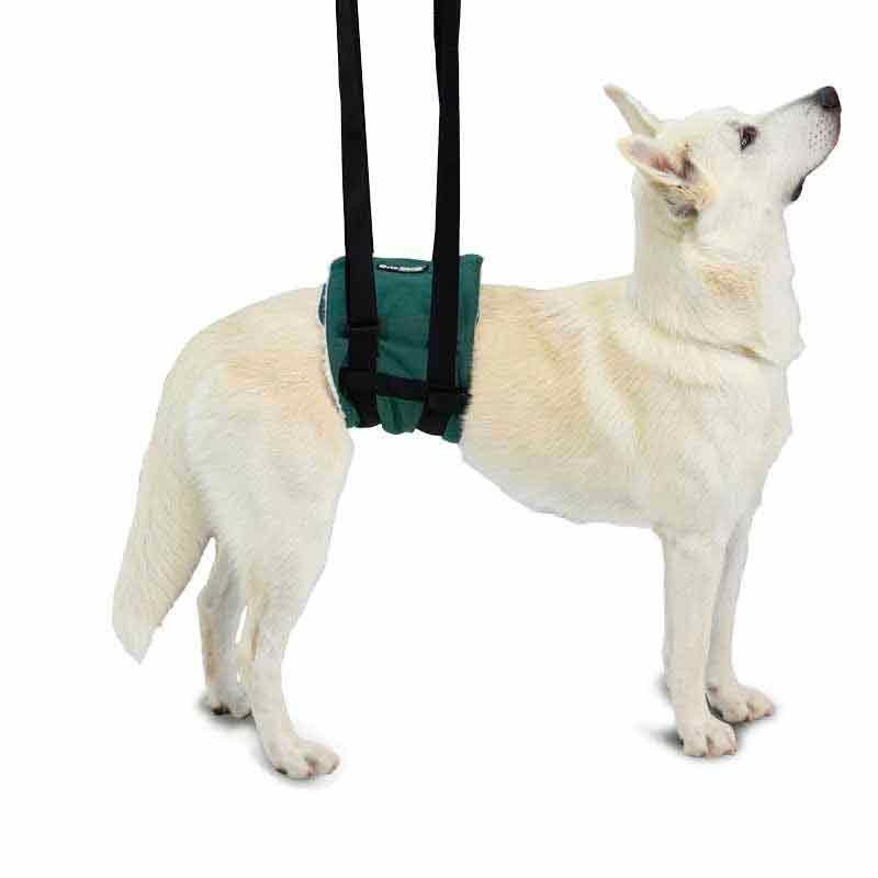 Ortopèdia Canina