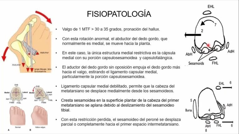 Ortopedia Rical Deporte Y Geriatría