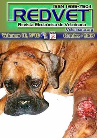 Ortopedia Zamora Borrego (ZB)
